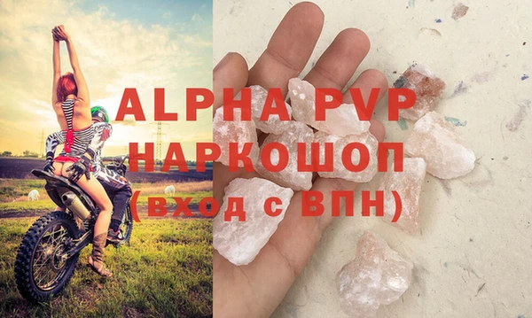 бошки Гусев