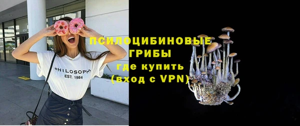 альфа пвп Гусиноозёрск