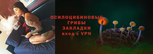 марки lsd Горно-Алтайск