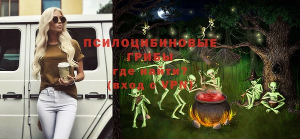 бошки Гусев