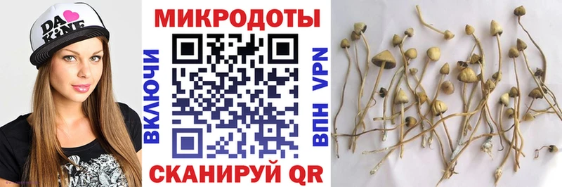 Псилоцибиновые грибы Psilocybine cubensis  Купить  Клинцы 