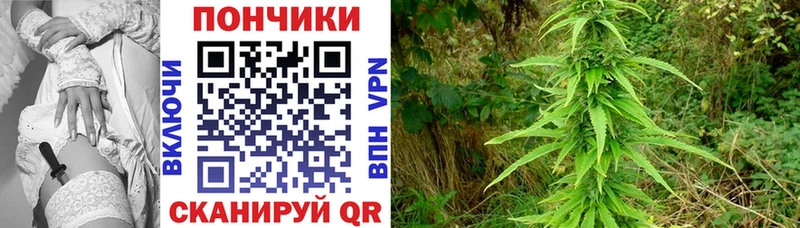МАРИХУАНА THC 21%  Купить закладки  Клинцы 